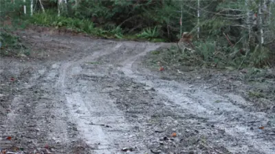 Almost to the bottom of the driveway on Holly Dewatto Road.
