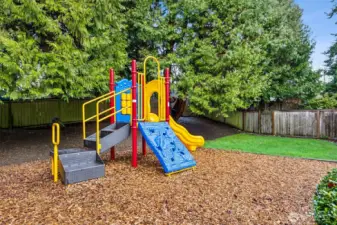 Have fun on the community playset!