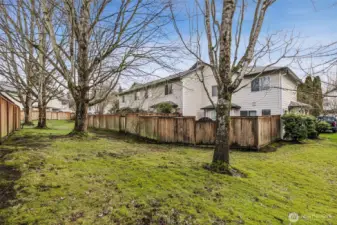 This is the greenbelt off the backyard patio.