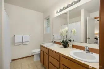 Large 5 piece spa-like bathroom. Huge walk-in closet off the bath.