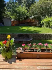 Lovely colors just outside, Spring and Summer