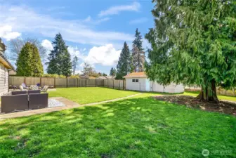 Oversized and overhauled! This entire yard overwent a SMELT remediation!