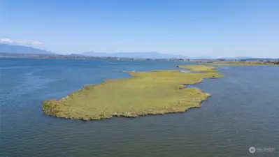 Seals sun bathe, eagles hunt, terns, herons and other birds feed and rest on this land in Alice   Bay.