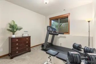 Lower Level Bedroom offering space for an ADU, or extended family.