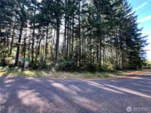 Excellent tree canopy providing privacy for your island retreat!