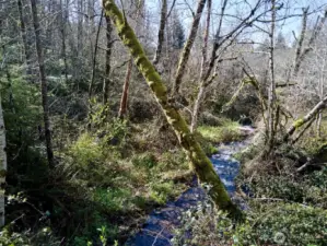 Dee Creek Frontage!