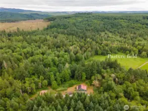Beautiful pasture below where Elk & Deer live!  Sportsman Paradise, make it your private hunting reserve.
