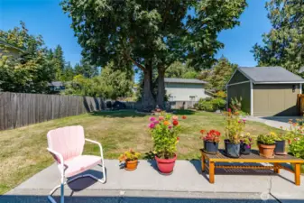 Enjoy evenings on your patio in the fenced yard.  Lots of shade options, plus plenty of sun!