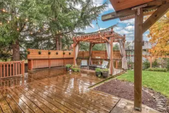 This kind of backyard is so rare!