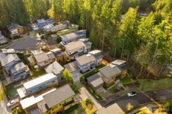 Quiet setting in the middle of established homes, low traffic street