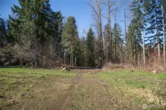 Large area great for Green House or Livestock