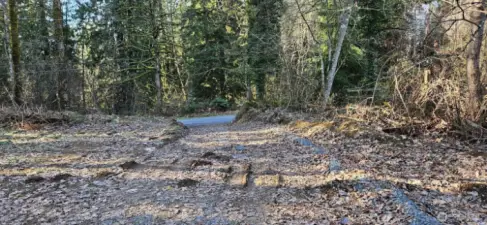 Private Driveway going to 147 Ave NE for potential ADU private entrance