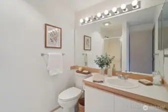 Primary bathroom 1