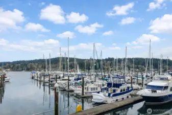 Murphy's Land Marina