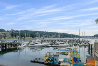 View from N Harborview by Anthony's Restaurant, very close to Murphy's Landing.