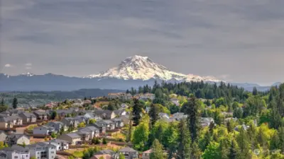 Mt. Rainer drapes the background of this desirable neighborhood.