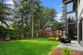 Large Level Grass Lawn