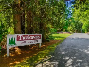 Check out this tree-lined street - it's delightful!