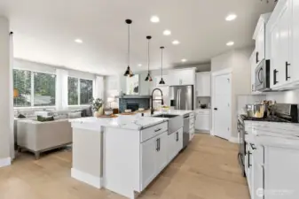 Beautiful Chef's kitchen with a walk-in pantry and gas stove