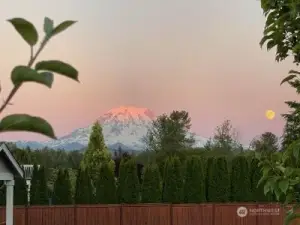 You'll never tire of having a view of Mt. Rainier!
