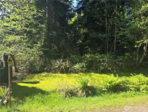 NE corner of property on 240th St facing South...