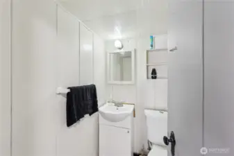 Lower Level Powder Room