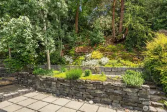 Mature garden beds