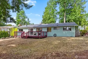 Looking from back of yard toward house