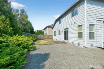 Back yard