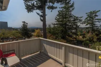 Olympic Mountain View from the deck