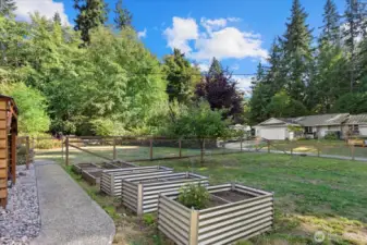 Sidewalk, Raised garden beds & fruit tree's.