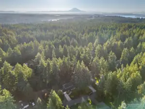 Mt Rainier off in the distant across the sound.