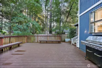 Huge back deck with seating benches
