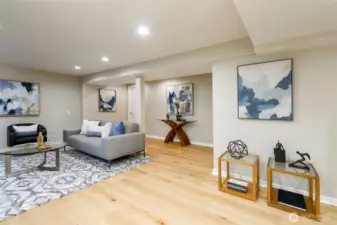 Lower Level Media Room