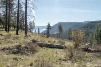 30 acres surrounds house