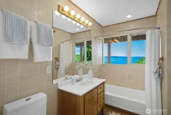 Additional full bathroom on the lower level.