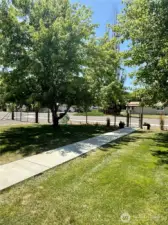 Sidewalk leading to front door and fenced front yard