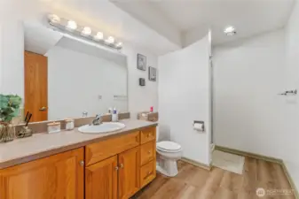 lower level bathroom