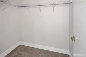 secondary walk-in closet!