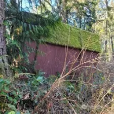 03-Pass by old shed on path to property