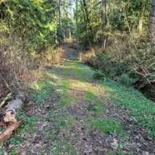 04-Part of trail to property