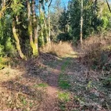 05-Part of trail to property