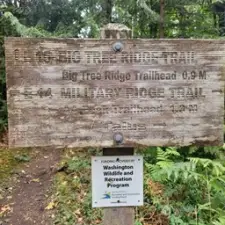 07-Signpost #2 on Trail