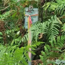 10-Look For Sign to show property edge.