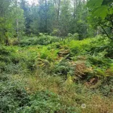 12-Flat area of property