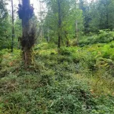 13-Flat area of property