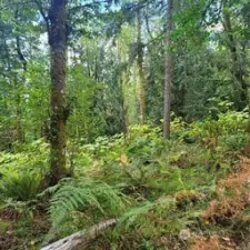 15-Flat area of property
