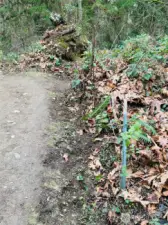 23-Fence post before trail branches to the right