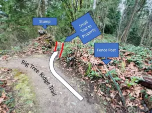 24-Trail branch to property