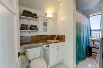 Primary bedroom bathroom.